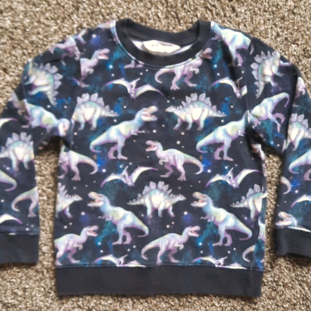 H & M dinosaur long sleeve sweater